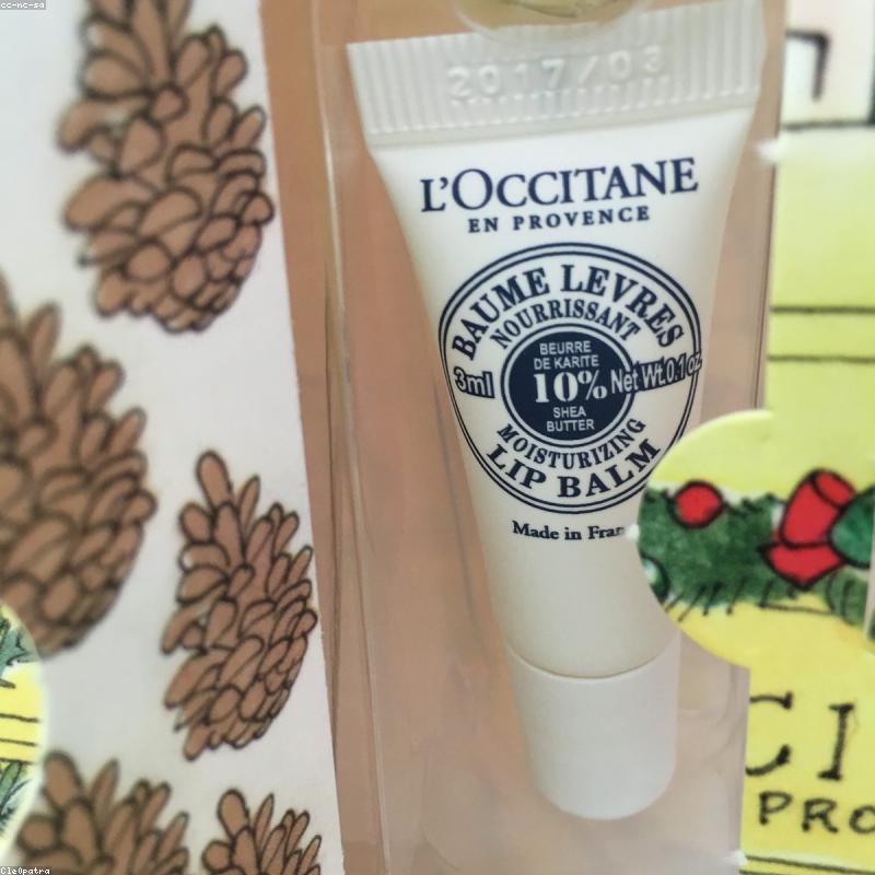 Lip Balm Tinted SPF 15 (detail)